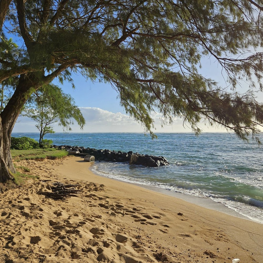 Elevate Wellness - Massage Near Me - Kapaa, Hawaii