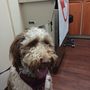 Photo of Intermountain Pet Hospital - Nampa