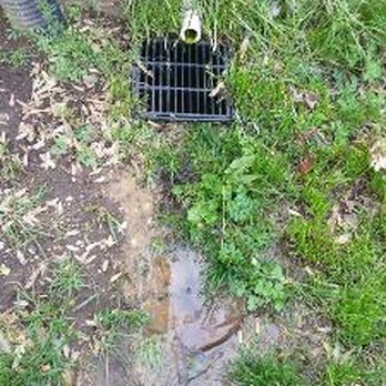 Best Landscape & Construction - Front/Side of house. Next to foundation. - Landscaping Near Me