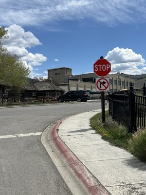 Roosevelt Arch by null