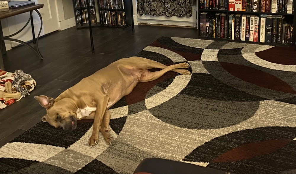 HEAVEN’S BEST CARPET CLEANING PUEBLO Updated September 2024 214