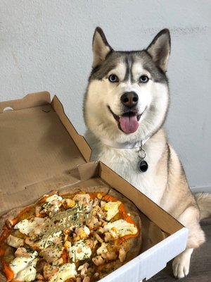 Rose City Pizza by null