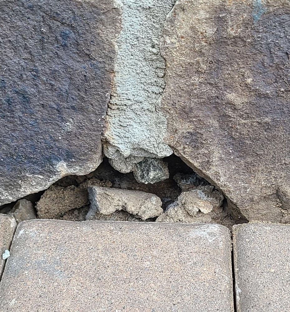 PRO CUT LANDSCAPING Updated July 2024 45 Photos & 35 Reviews 11