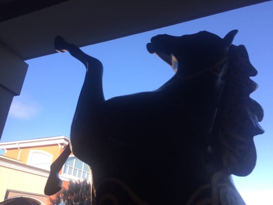 Pittsford Plaza by null