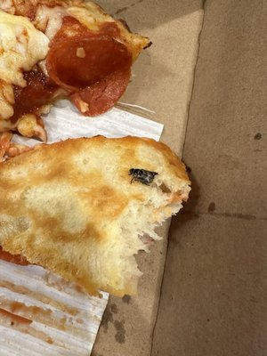Domino's Pizza by null