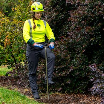Bartlett Tree Experts - Tree Services Near Me - Seattle, Washington