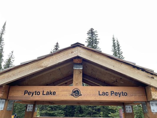 Peyto Lake by null