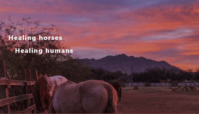 Equine Spirit Programs - grief counselor in Queen Creek, AZ