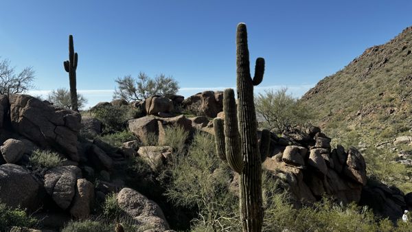 Pinnacle Peak by null