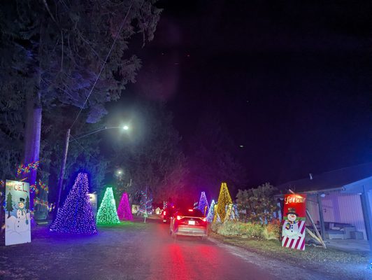 The Lights of Christmas by null