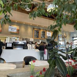 La Bosco Bakery & Cafe - The counter. The menu
