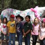 Photo of Martin Performance Horses