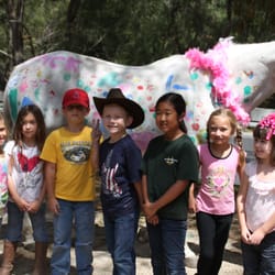 Martin Performance Horses - Great Summer Pony Camps!
