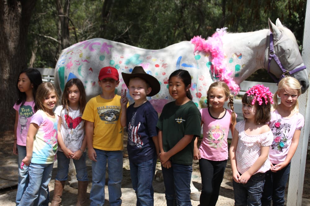 MARTIN PERFORMANCE HORSES Updated October 2024 2 Empty Saddle Rd