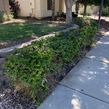 Happy Tree Landscaping - After - Landscaping Near Me - Mesa, Arizona