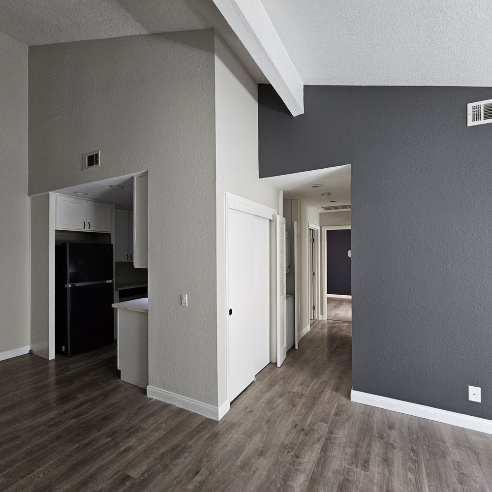 Real Action Painting - Painters Near Me