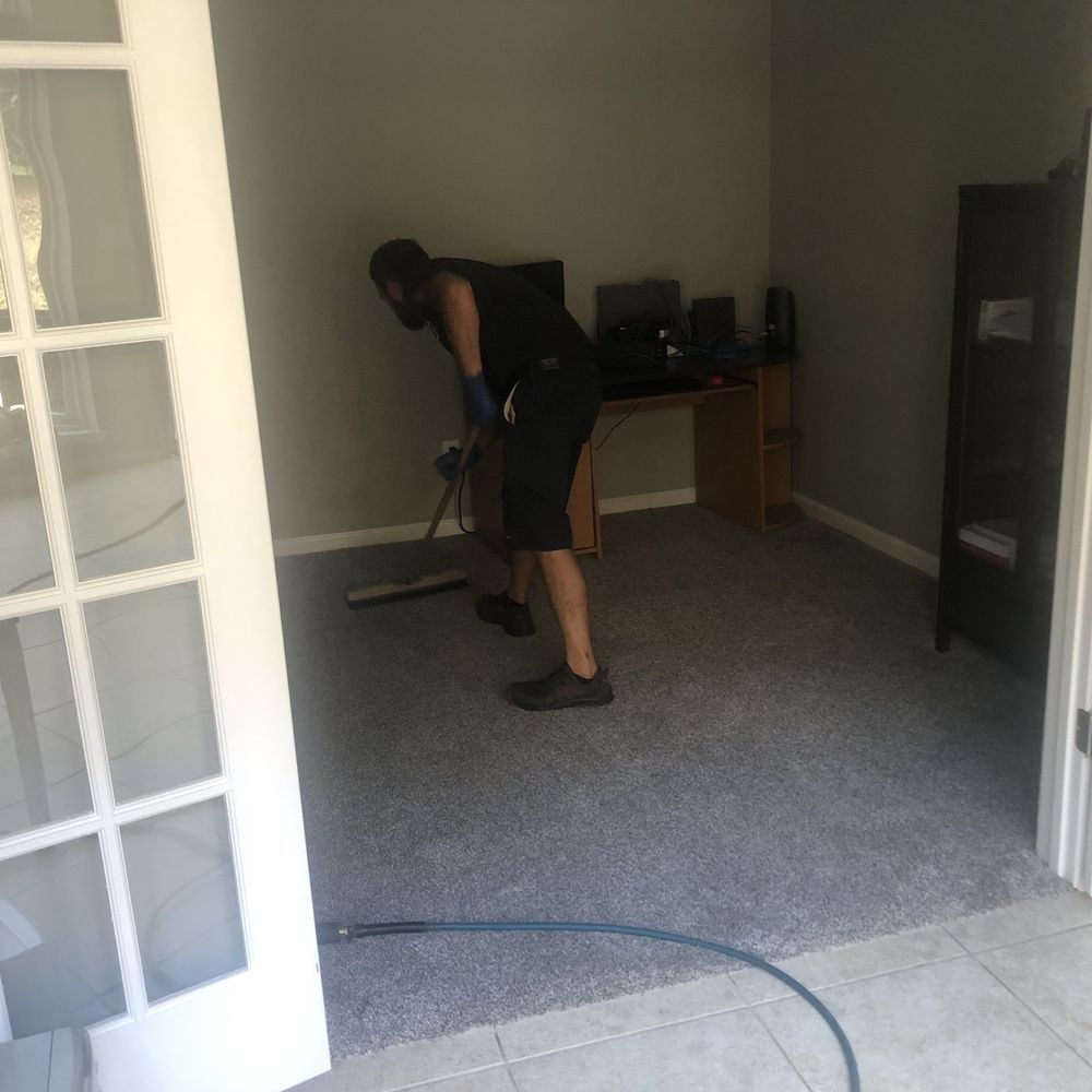 Phoenix Cleaning - Pre-scrubbing - Carpet Cleaning Near Me - Herculaneum, Missouri Phoenix Cleaning - Pre-scrubbing - Carpet Cleaning Near Me - Herculaneum, Missouri