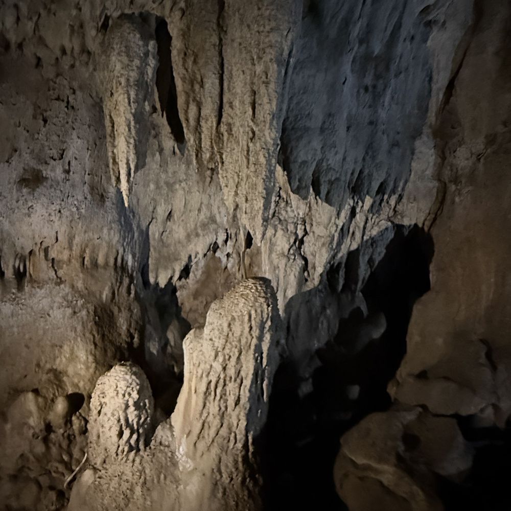 Cascade Caverns - Stalagmite growing towards a stalactite to create a column... - Tours Near Me - Boerne, Texas