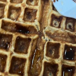 Healthy Nutrition - Phone did not eat this time but those waffles were a 10/10!