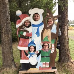 Carroll's Country Christmas Trees