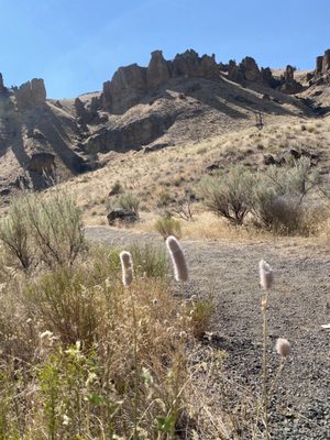 John Day Fossil Beds National Monument by null
