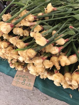 Santa Monica Saturday Pico Farmers Market by null