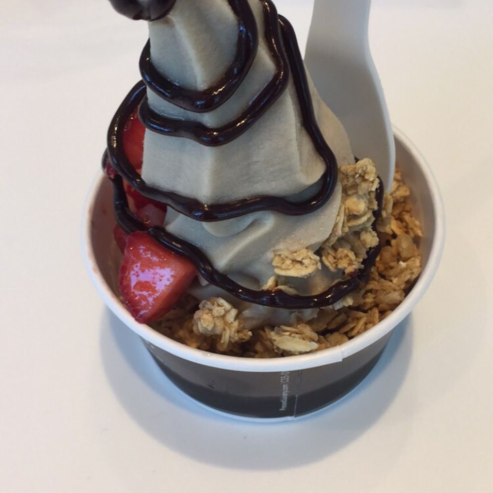 Chocolate Freeze Chocolate Freeze