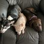 Photo of Foster Creek Veterinary Hospital