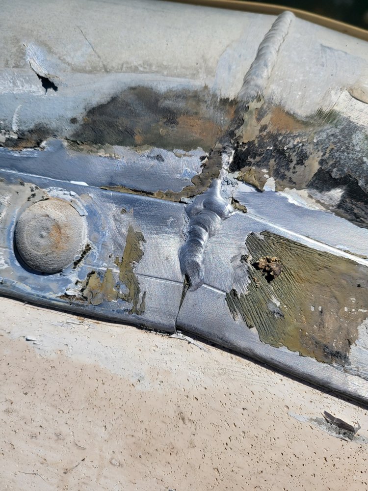 Slide of Equine Kool