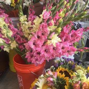 Nurel's Farmers' Market - Farmers Market Near Me - Hampton Bays, New York Nurel's Farmers' Market - Farmers Market Near Me - Hampton Bays, New York