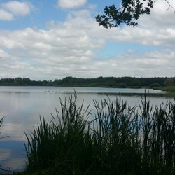 Etang Duris - Vue sur l'étang