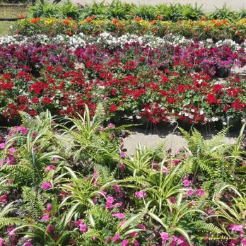 Sunny Lawn Farms - Nurseries & Gardening Near Me - Franklin, Indiana Sunny Lawn Farms - Nurseries & Gardening Near Me - Franklin, Indiana