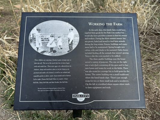 McPolin Barn by null