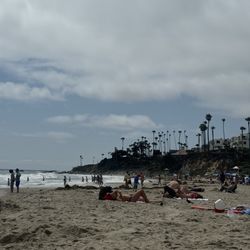Voice Of Laguna