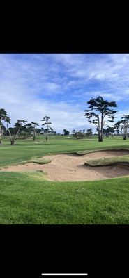 Bayonet & Black Horse by null