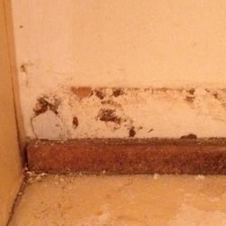 Rincon Ventures - Under bathroom sink at move in