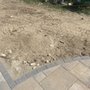 Photo of Mancini Landscape Design