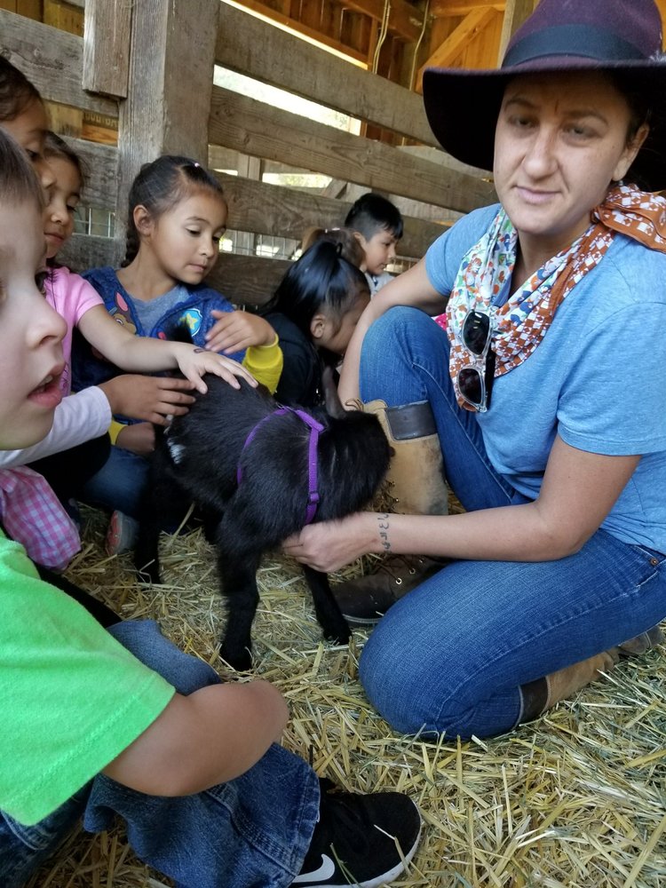 CONNOLLY RANCH Updated September 2024 42 Photos 3141 Browns Valley Rd, Napa, California