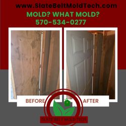 Slate Belt Mold Tech
