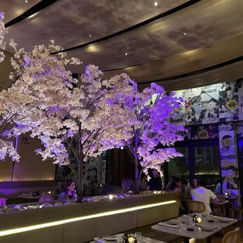 Paperfish Sushi - Inside - Sushi Bars Near Me - Miami, Florida Paperfish Sushi - Inside - Sushi Bars Near Me - Miami, Florida