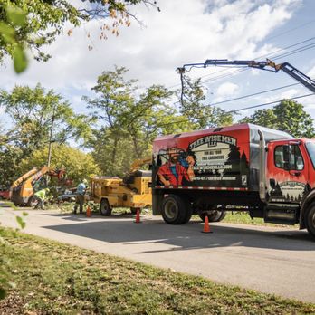 Tree Wise Men - Tree Services Near Me - Janesville, Wisconsin Tree Wise Men - Tree Services Near Me - Janesville, Wisconsin