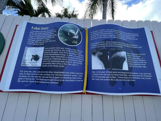 Key West Aquarium by null