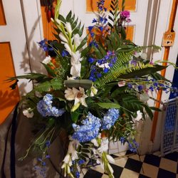 Ados Blooms - Blue sunlight Spray
