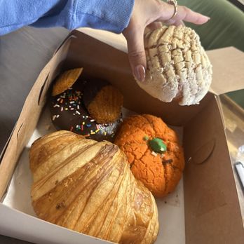 La Concha - Bakeries Near Me - Colorado Springs, Colorado La Concha - Bakeries Near Me - Colorado Springs, Colorado