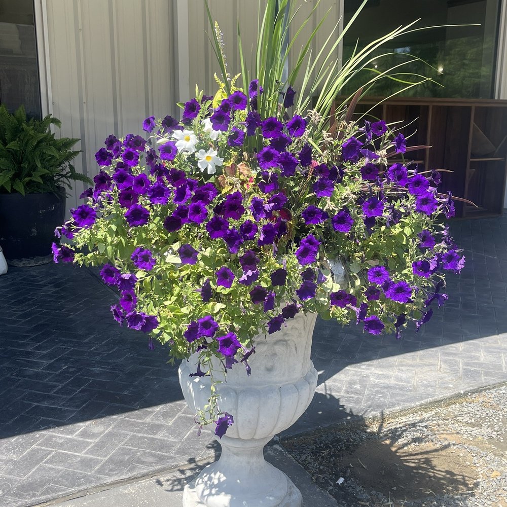 The BLVD - a white urn filled with purple and white flowers - Home Decor Near Me - Magnolia, Texas The BLVD - a white urn filled with purple and white flowers - Home Decor Near Me - Magnolia, Texas