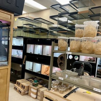 Reptile Island - Pet Stores Near Me - Rancho Cucamonga, California