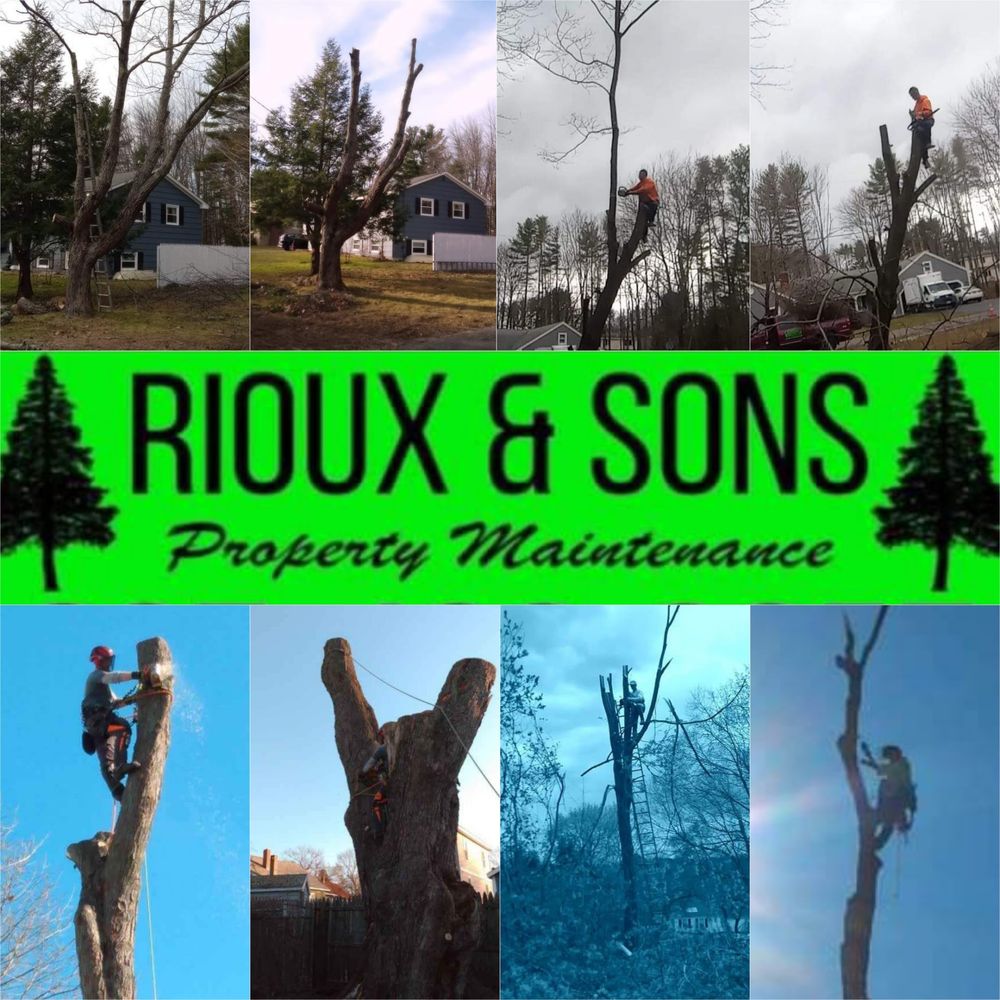 Rioux & Sons Property Maintenance - tree service in New Gloucester, ME