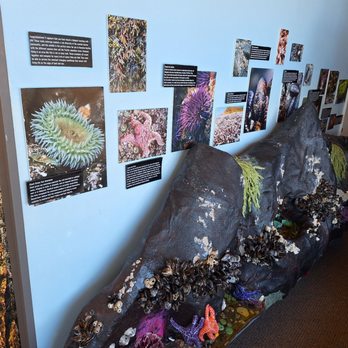 Cape Perpetua Visitor Center - Visitor Centers Near Me - Yachats, Oregon Cape Perpetua Visitor Center - Visitor Centers Near Me - Yachats, Oregon