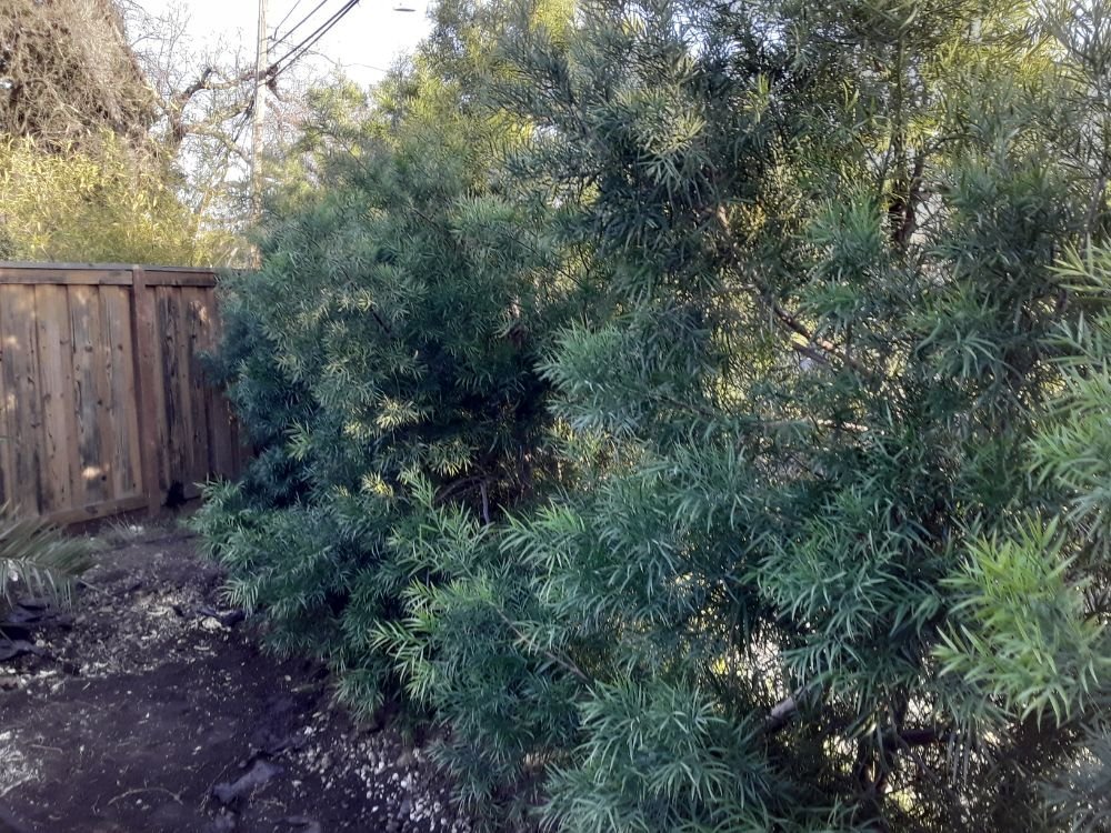 Slide of Pauls Concrete and Landscaping