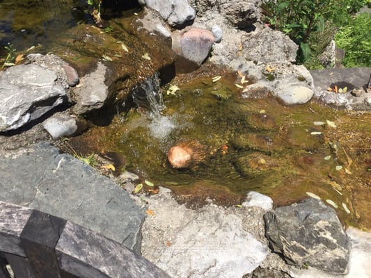 Burghotel Bären by null